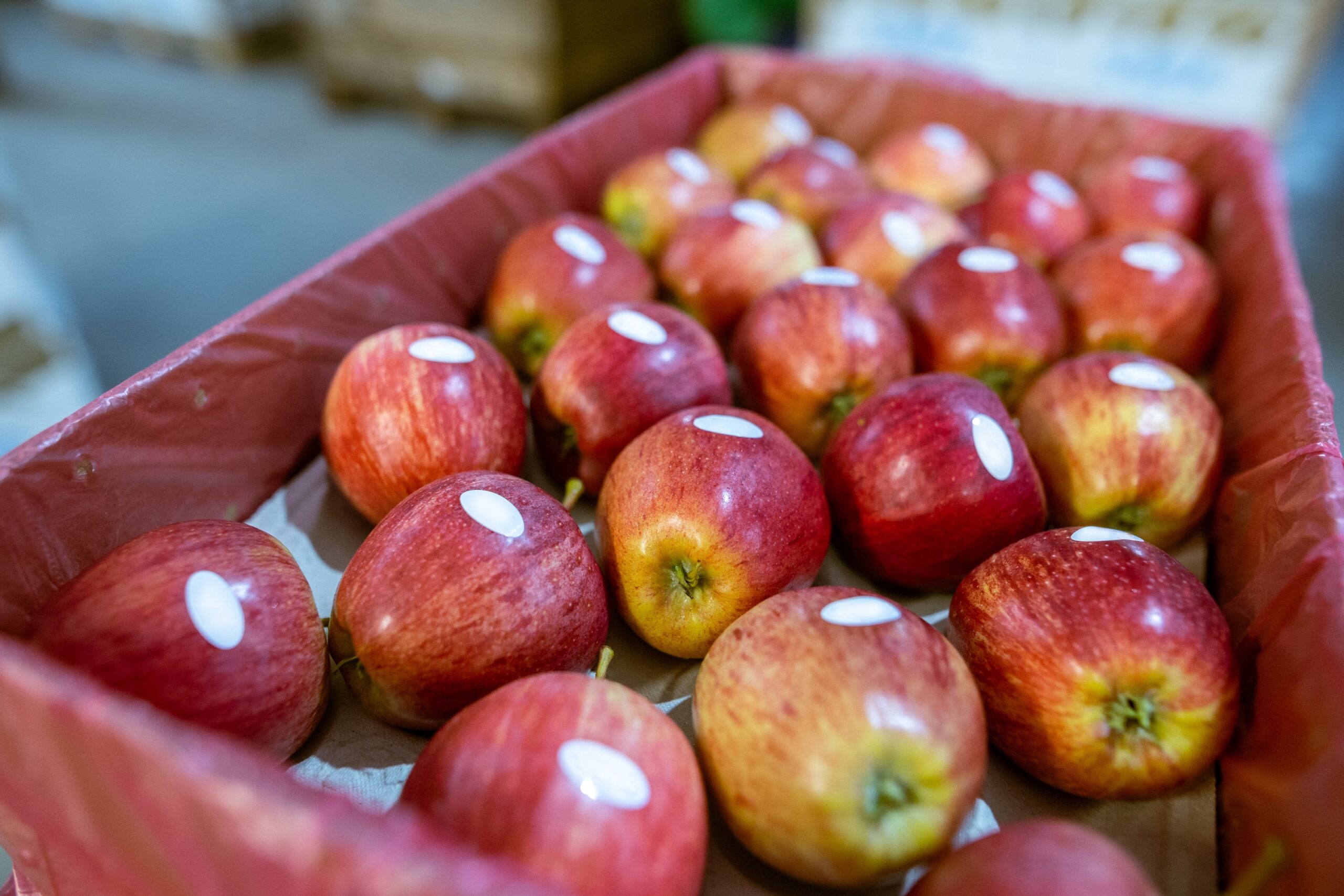 Descubra O Segredo Por Tr S Dos Adesivos Nas Frutas E Legumes